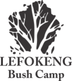 gallery/Lefokeng Logo