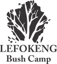 gallery/Lefokeng Logo